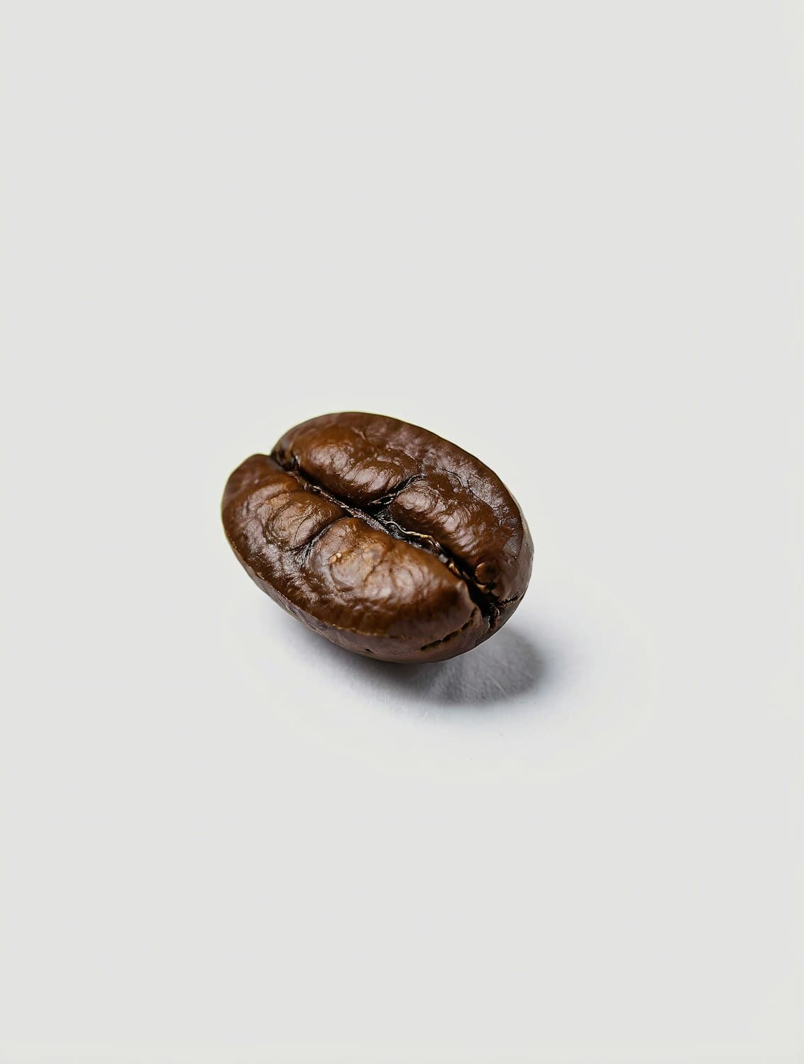 A single roasted coffee bean photographed up close